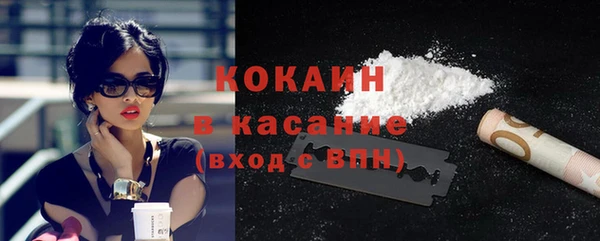гашик Щигры