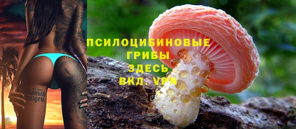 спиды Арсеньев