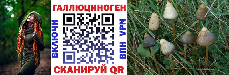 Псилоцибиновые грибы Magic Shrooms  сайты даркнета наркотические препараты  Тверь 
