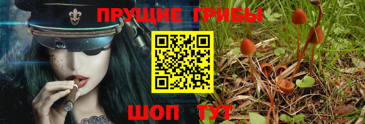Псилоцибиновые грибы Magic Shrooms Тверь