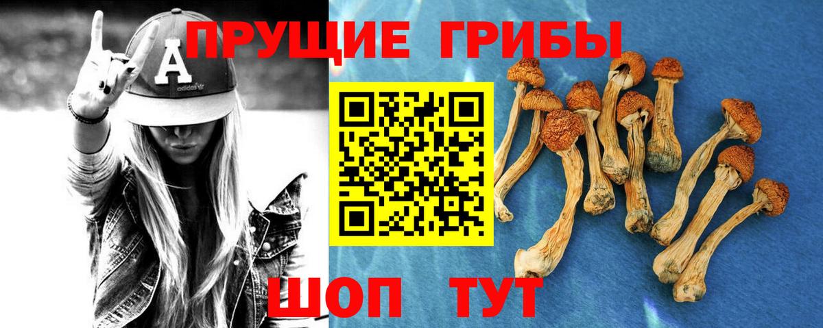 Псилоцибиновые грибы MAGIC MUSHROOMS  Галлюциногенные грибы мицелий  Тверь  Вход с VPN 
