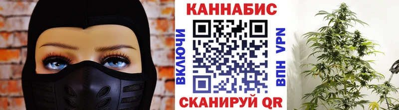 Бошки марихуана сатива  купить закладку  Тверь 